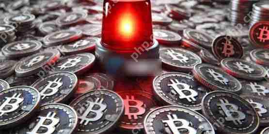 cryptoquant预告:链上动能偏弱 比特币反弹恐不稳固